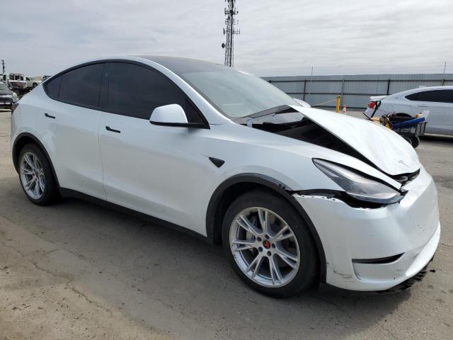 2023 TESLA MODEL Y - 7SAYGDED1PF960928