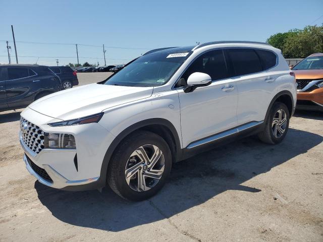 Vin: 5nms3daj5ph607987, lot: 54089825, hyundai santa fe sel premium 2023 img_1