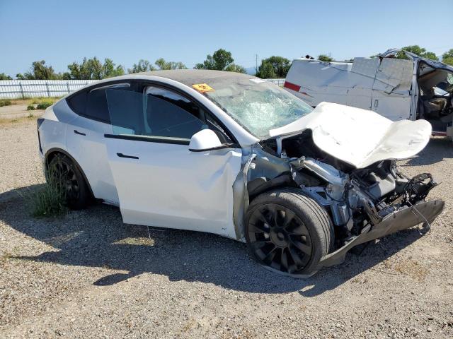 Vin: 7saygdee5nf346700, lot: 51183615, tesla model y 20224