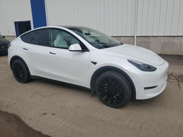 Vin: lrwygdeexpc228734, lot: 53232875, tesla model y 20234