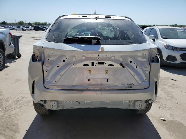2023 LEXUS NX 250 2T2ADCEZ5PC003313