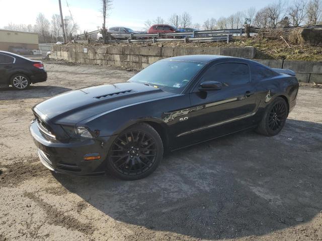 Vin: 1zvbp8cf7e5316358, lot: 52646965, ford mustang gt 2014 img_1
