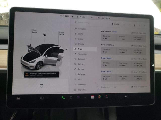 2023 TESLA MODEL Y - 7SAYGDEE6PF806434