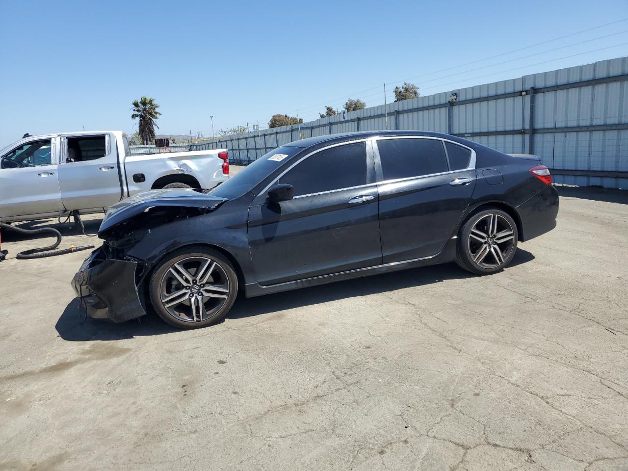 HONDA ACCORD SPORT