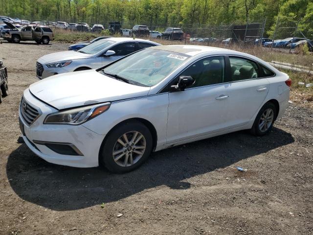 Vin: 5npe24af4gh307565, lot: 53057685, hyundai sonata se 2016 img_1