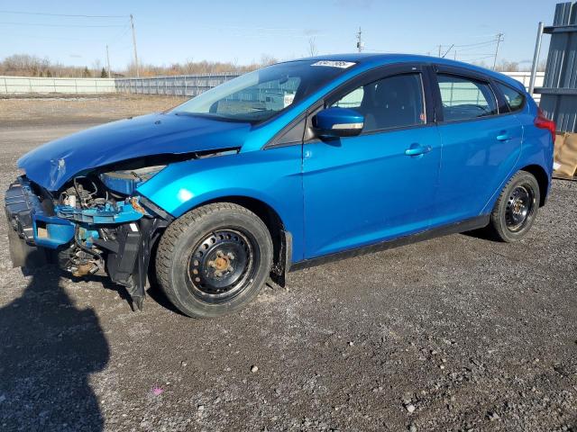 Vin: 1fadp3k22dl346445, lot: 53477985, ford focus se 2013 img_1
