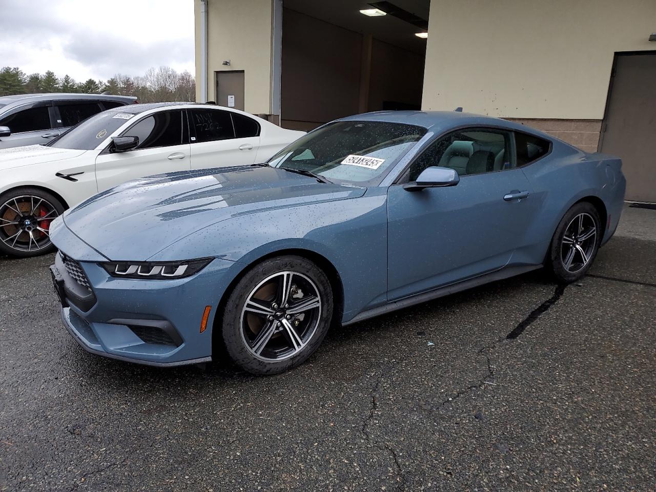 FORD MUSTANG