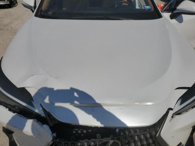 2024 LEXUS NX 350 PRE - JTJGGCEZ9R5009666