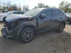 2023 TOYOTA RAV4 XLE P - JTMB6RFV4PD089184