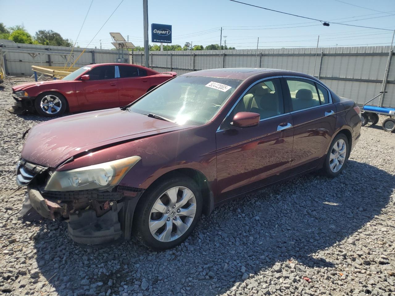HONDA ACCORD EXL