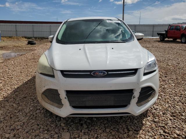2014 FORD ESCAPE SE - 1FMCU9GX3EUD33135