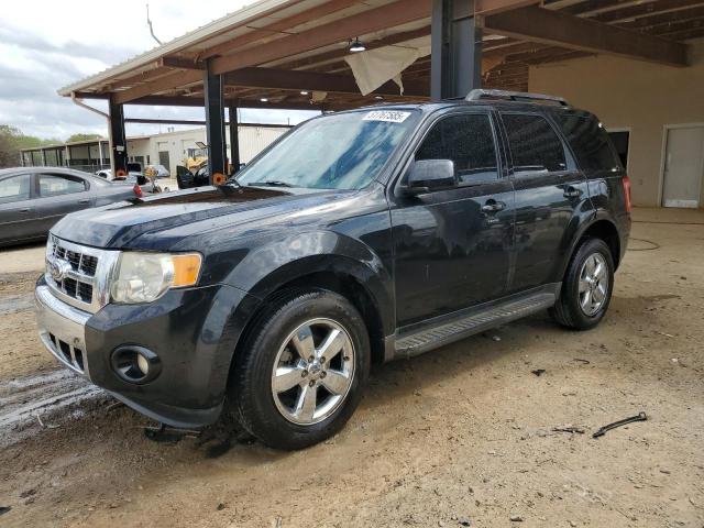 Vin: 1fmcu0eg8bkb70097, lot: 51767585, ford escape limited 2011 img_1