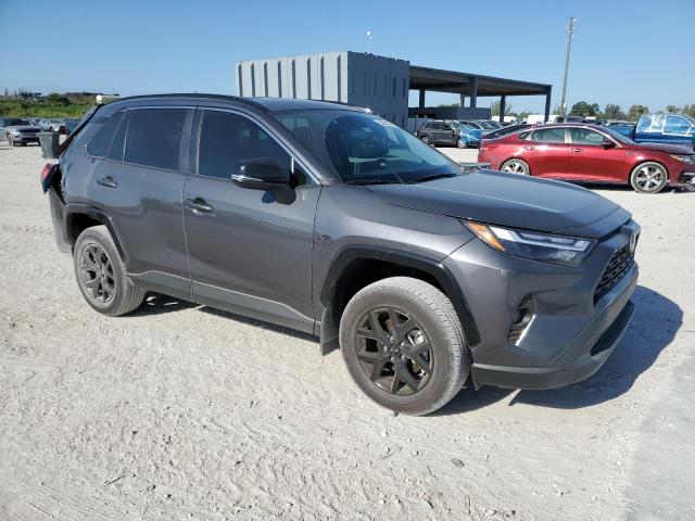 Vin: 2t3w1rfv8sc308175, lot: 53021315, toyota rav4 xle 20254
