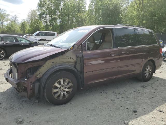 Vin: 5fnrl3h77ab042816, lot: 54773875, honda all models exl 2010 img_1
