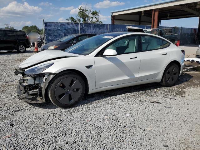 Vin: 5yj3e1ea4pf607259, lot: 54189935, tesla model 3 2023 img_1