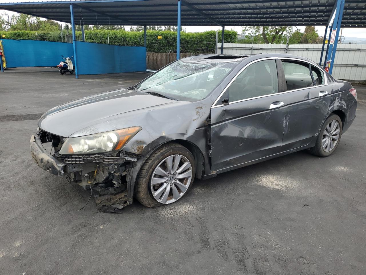 HONDA ACCORD EX