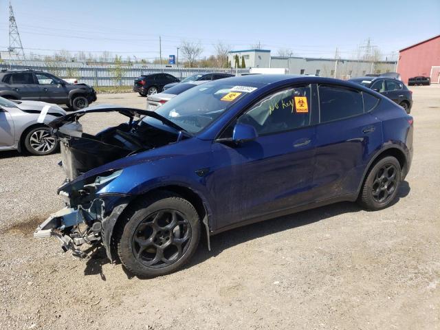 Vin: 7saygdee2rf083216, lot: 53882045, tesla model y 2024 img_1