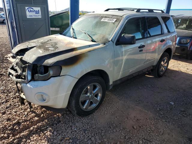 Vin: 1fmcu0dg7akd47996, lot: 55118505, ford escape xlt 2010 img_1