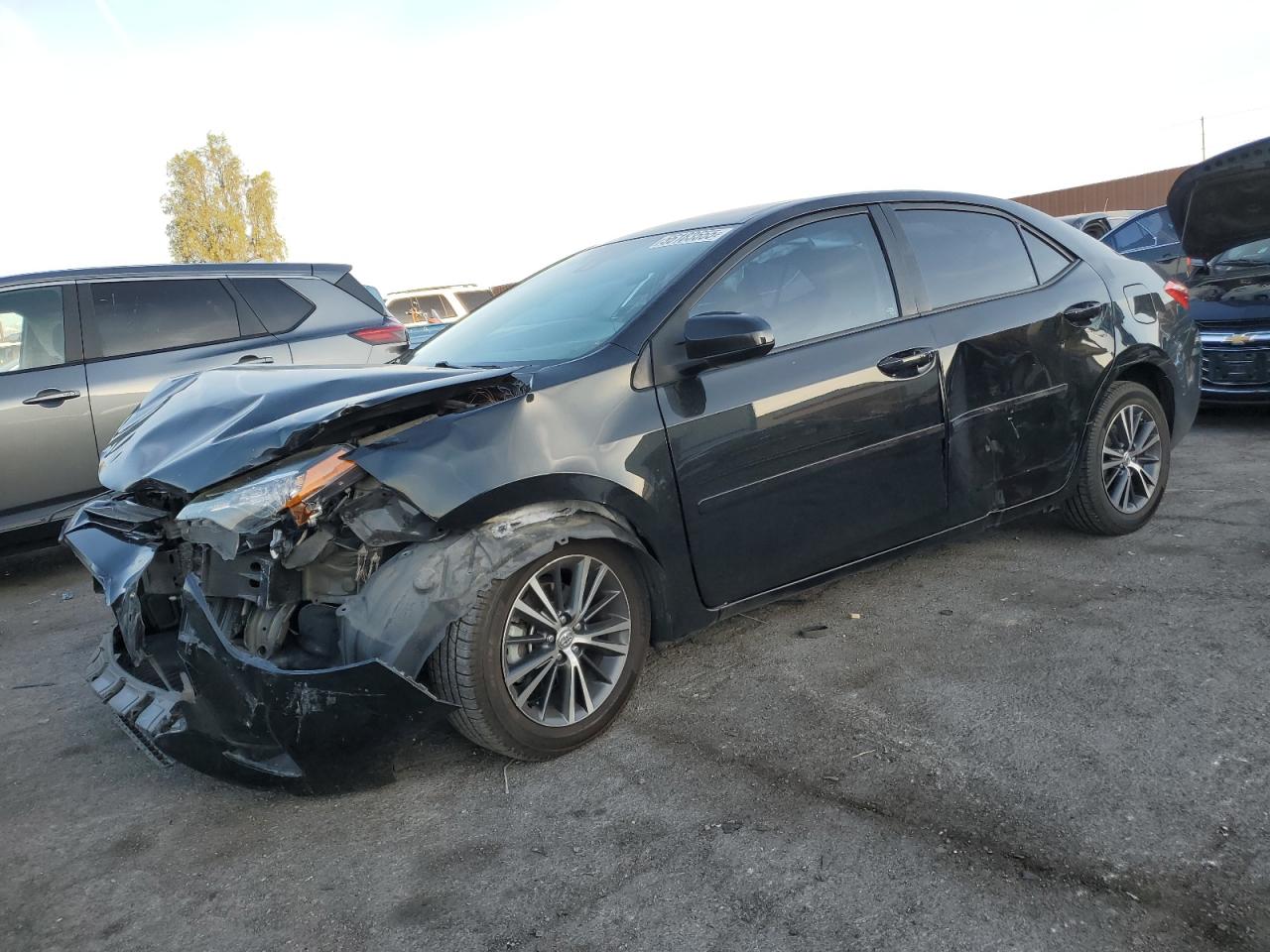 TOYOTA COROLLA L