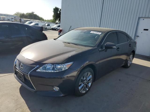 Vin: jthbw1gg3d2029260, lot: 54244645, lexus es300 300h 2013 img_1