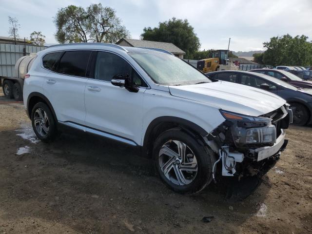 Vin: 5nms34aj2ph505630, lot: 53679445, hyundai santa fe sel premium 20234