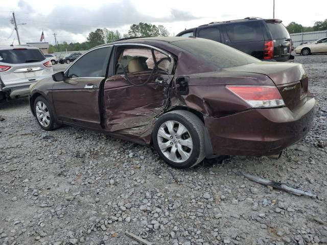 Vin: 5kbcp3f80ab018929, lot: 50769445, honda accord exl 20102