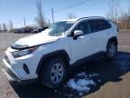 2019 TOYOTA RAV4 LE - 2T3Z1RFV1KW024740