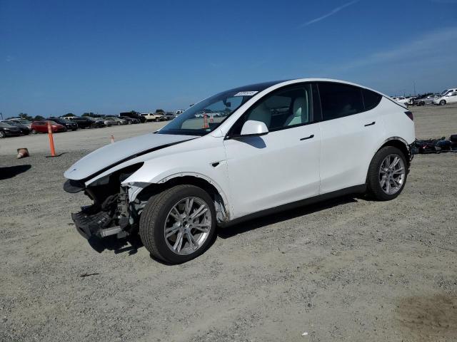Vin: 7saygdee6pf624944, lot: 53391415, tesla model y 2023 img_1