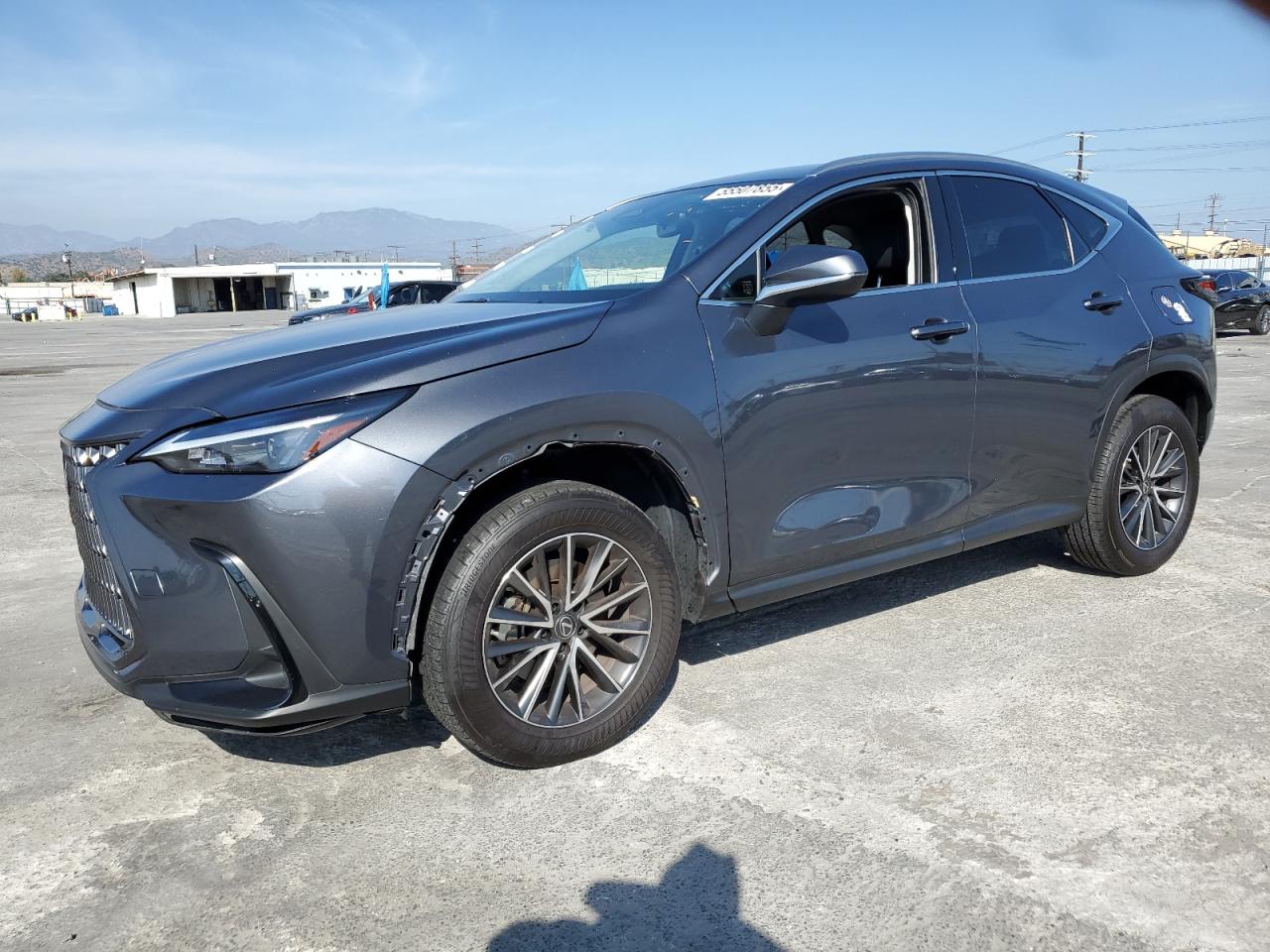 LEXUS NX 250