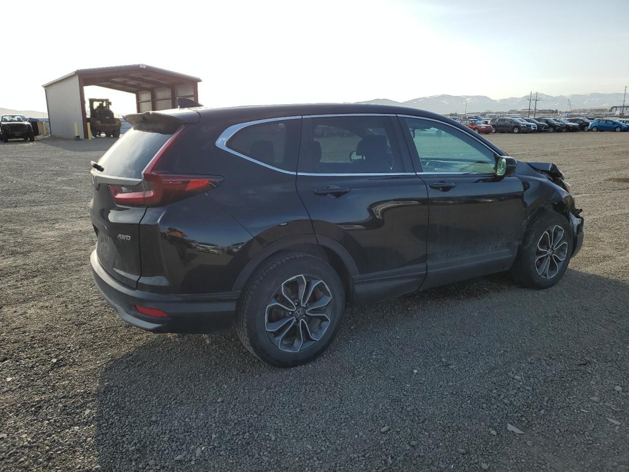 Lot #3212604294 2020 HONDA CR-V SE