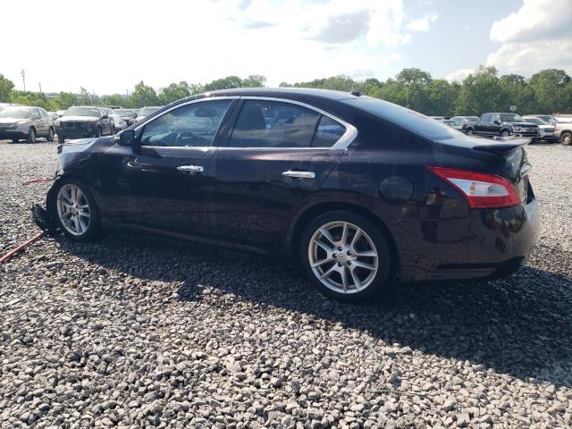 Vin: 1n4aa5ap9ac863928, lot: 54934855, nissan maxima s 20102