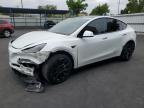 2023 TESLA MODEL Y - 7SAYGDEEXPF744472