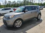 2016 KIA SOUL + - KNDJP3A5XG7356727