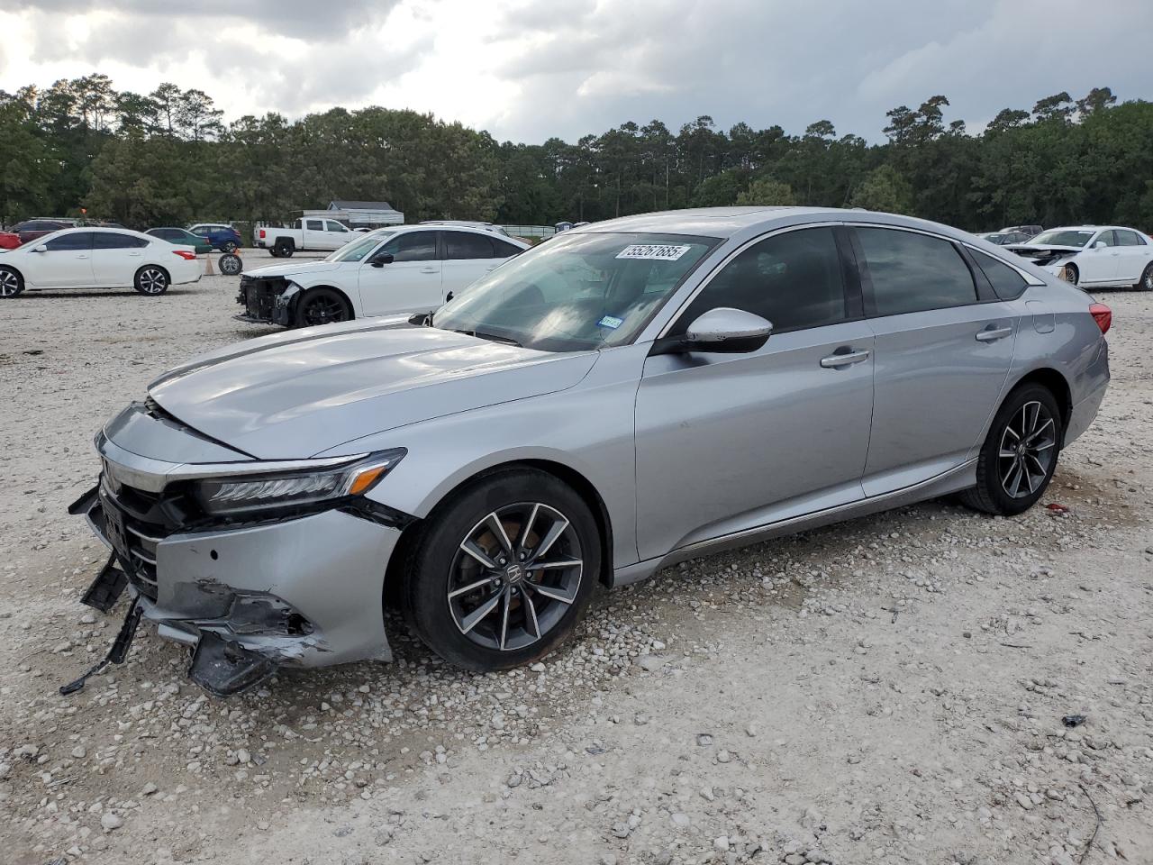 HONDA ACCORD EXL