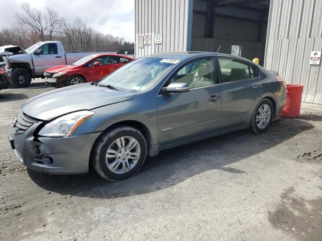 Vin: 1n4cl2ap5ac184613, lot: 52128905, nissan altima hybrid 2010 img_1