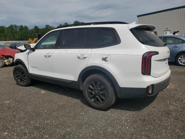 Vin: 5xyp5dgc4pg374459, lot: 53784405, kia telluride sx 20232