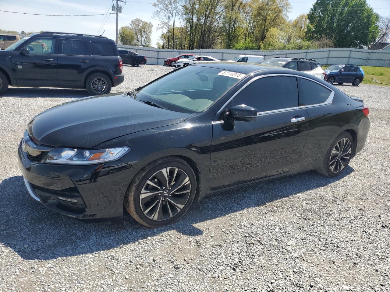 HONDA ACCORD EXL