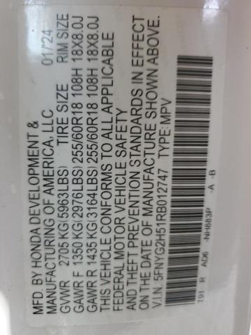 2024 HONDA PILOT EXL - 5FNYG2H51RB012747