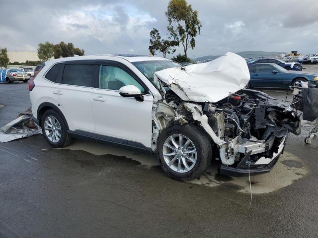 Vin: 5j6rs3h72rl007798, lot: 51017205, honda crv exl 20244