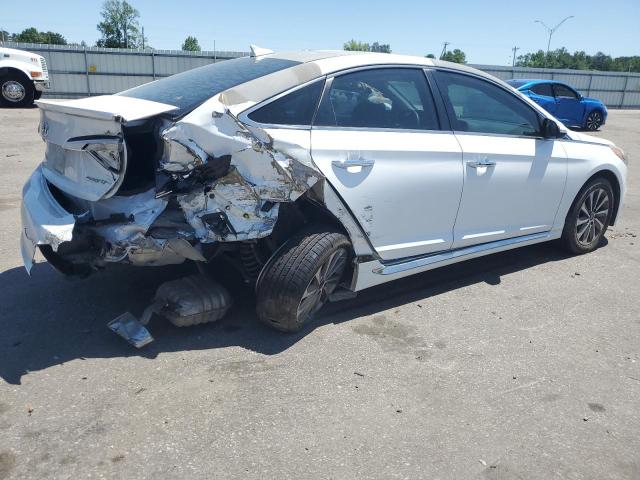 2017 HYUNDAI SONATA SPO - 5NPE34AF7HH509279