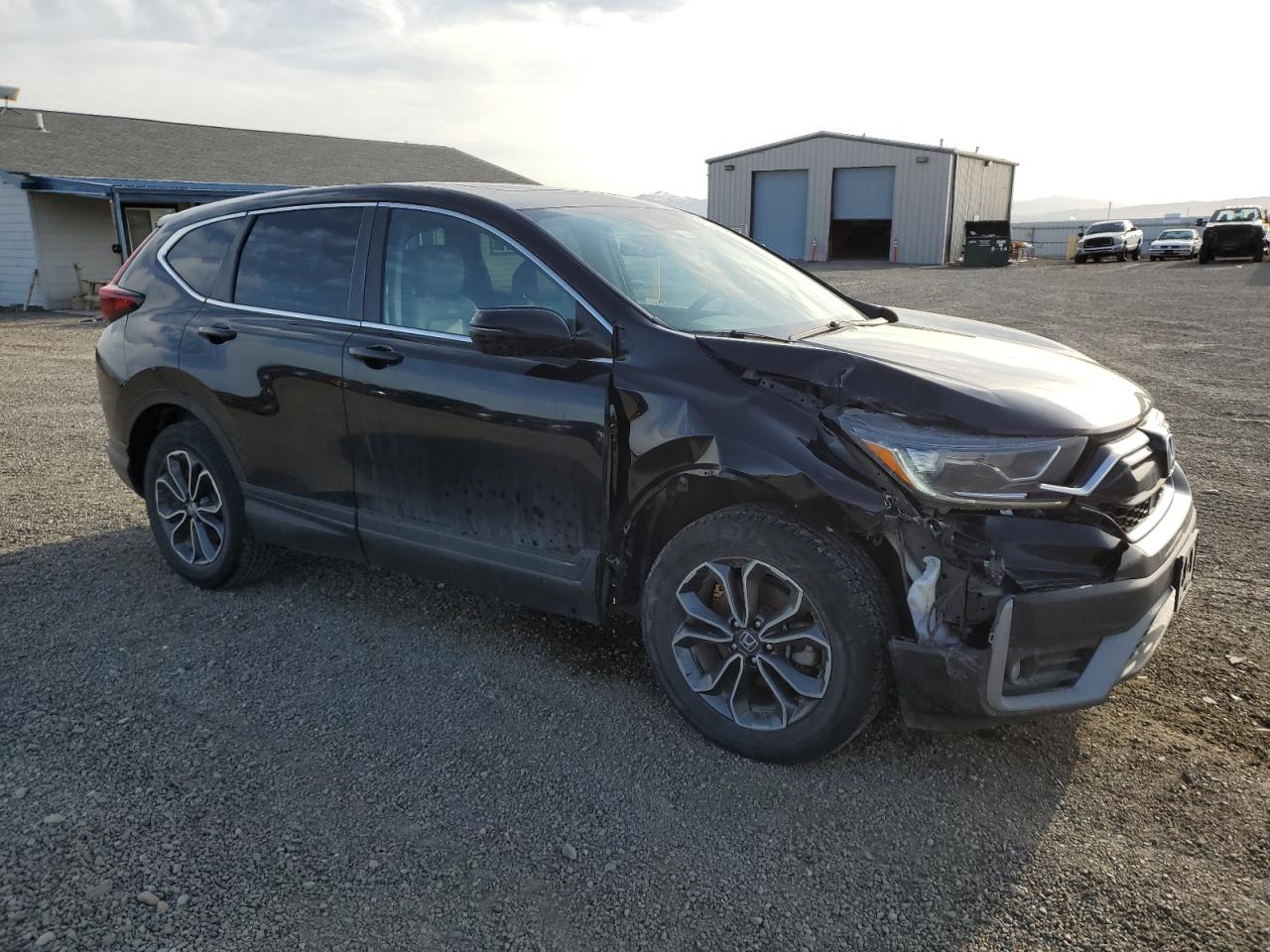 Lot #3212604294 2020 HONDA CR-V SE