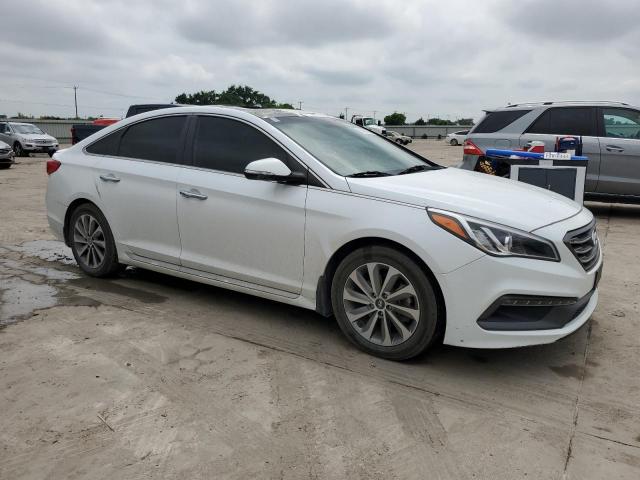 Vin: 5npe34af9gh308157, lot: 54501605, hyundai sonata sport 20164