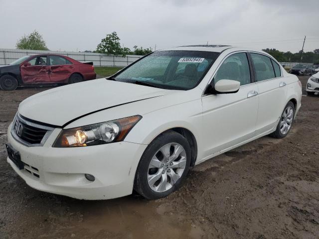 Vin: 1hgcp3f85aa030146, lot: 53852945, honda accord exl 2010 img_1