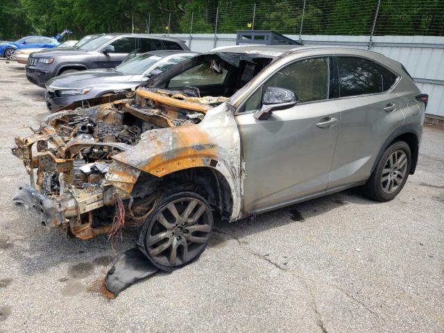 Vin: jtjbarbz2k2189373, lot: 54381935, lexus nx 300 base 2019 img_1