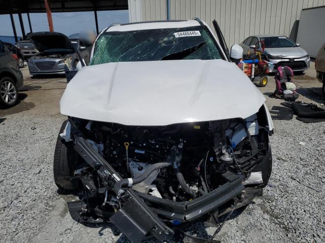 2025 KIA TELLURIDE #3281404982