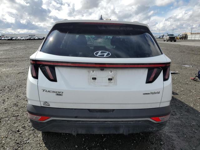 2022 HYUNDAI TUCSON BLU KM8JBCA16NU014939