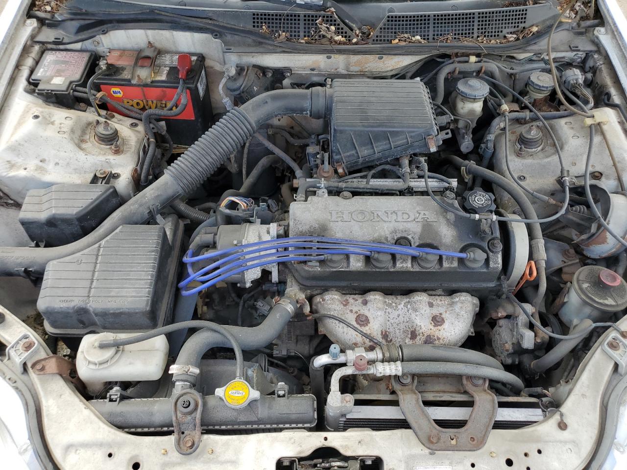 Lot #3170304424 1998 HONDA CIVIC LX