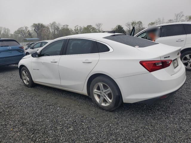 2019 CHEVROLET MALIBU LS - 1G1ZC5ST8KF182834