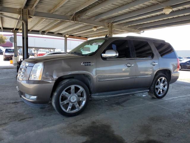 CADILLAC ESCALADE LUXURY