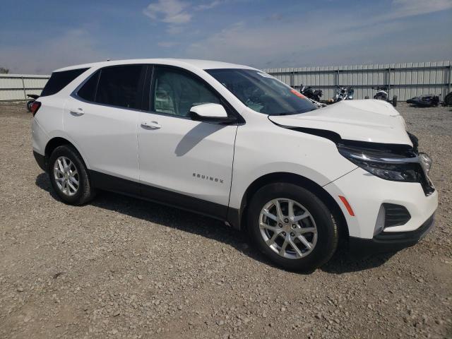 Vin: 3gnaxkev7nl216591, lot: 53556925, chevrolet equinox lt 20224